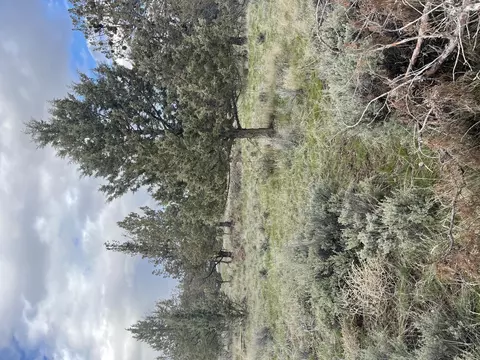 nw huston avenue, Prineville, OR 97754