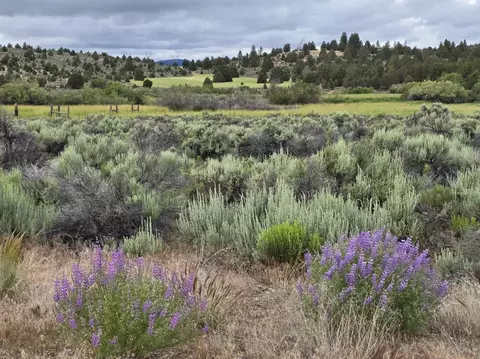 River Bank Drive, Beatty, OR 97621