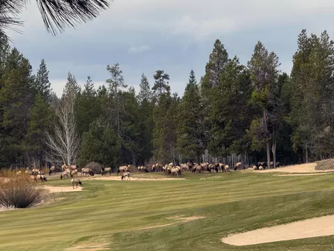 Other - 56735 Nest Pine Dr, Bend, OR 97707 photo 10 of 15