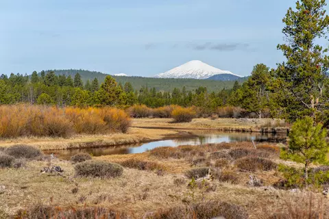 View/Area - 56735 Nest Pine Dr, Bend, OR 97707 photo 8 of 8