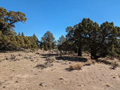 goldenview ranch, Bend, OR 97701 photo 6