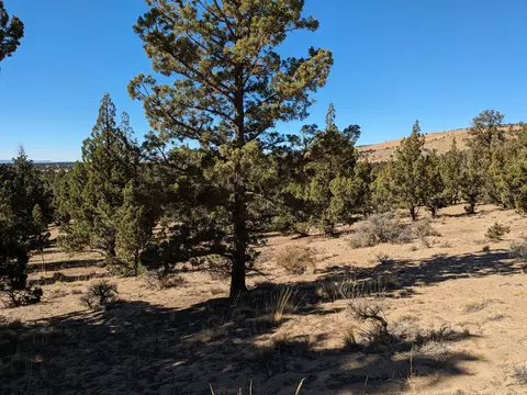 goldenview ranch, Bend, OR 97701 photo 21