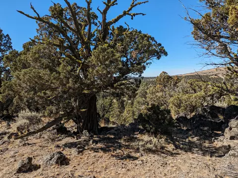 goldenview ranch, Bend, OR 97701 photo 3