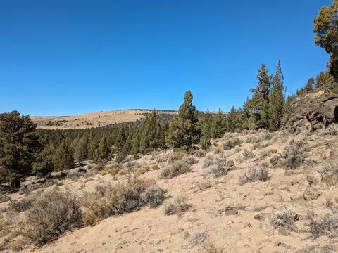 goldenview ranch, Bend, OR 97701 photo 18
