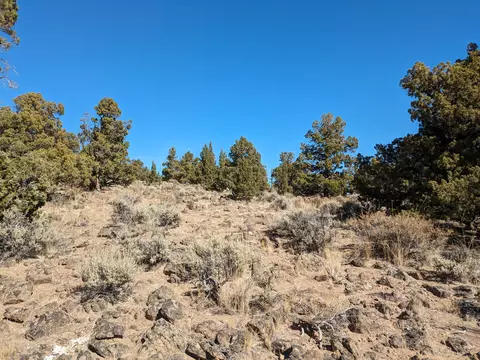 goldenview ranch, Bend, OR 97701 photo 4