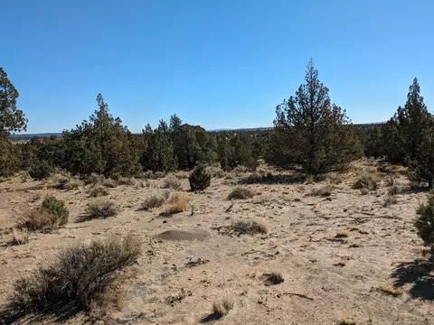 goldenview ranch, Bend, OR 97701 photo 11