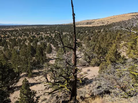 goldenview ranch, Bend, OR 97701 photo 9