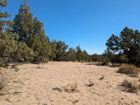 goldenview ranch, Bend, OR 97701 photo 5