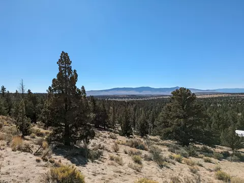 goldenview ranch, Bend, OR 97701 photo 15