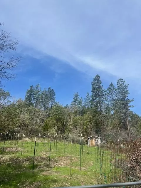 255 Pine Tree Dr, Williams, OR 97544 photo 2