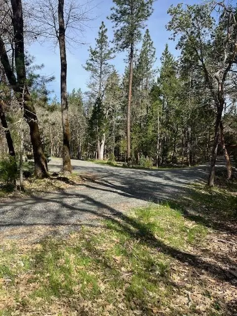 255 Pine Tree Dr, Williams, OR 97544 photo 5