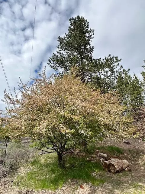 Other - 16506 Sprague Loop, La Pine, OR 97739 photo 15 of 18