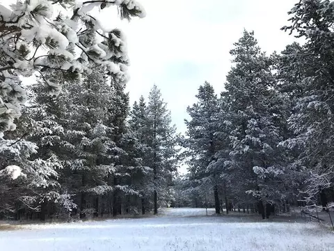 Other - 16506 Sprague Loop, La Pine, OR 97739 photo 17 of 18