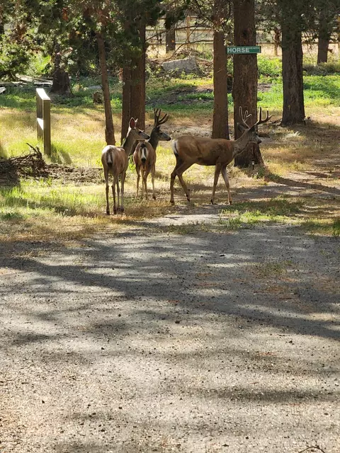 Other - 16506 Sprague Loop, La Pine, OR 97739 photo 13 of 18