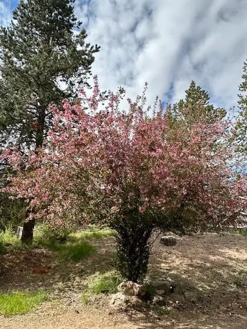 Other - 16506 Sprague Loop, La Pine, OR 97739 photo 16 of 18