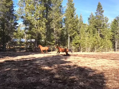 Other - 16506 Sprague Loop, La Pine, OR 97739 photo 12 of 18