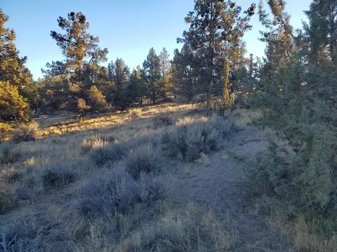 20845 Pony Ave, Bend, OR 97703 photo 3