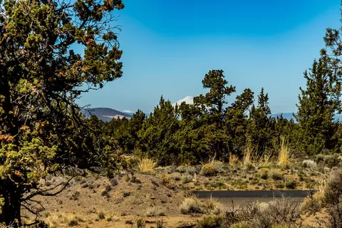 22965 Ghost Tree Ln #LOT 335, Bend, OR 97701 photo 24