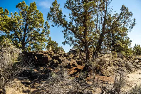 22965 Ghost Tree Ln #LOT 335, Bend, OR 97701 photo 16