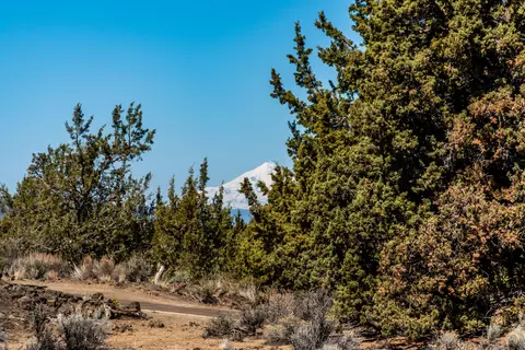 22965 Ghost Tree Ln #LOT 335, Bend, OR 97701 photo 13