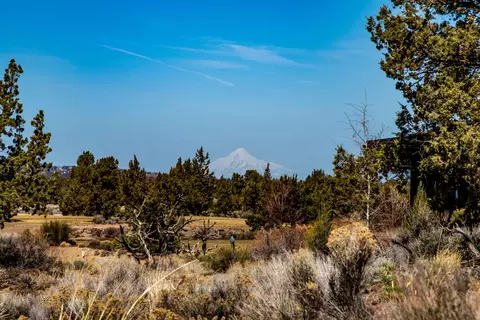 22965 Ghost Tree Ln #LOT 335, Bend, OR 97701 photo 23