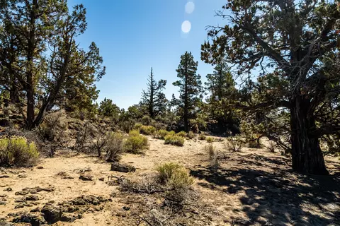 22965 Ghost Tree Ln #LOT 335, Bend, OR 97701 photo 14