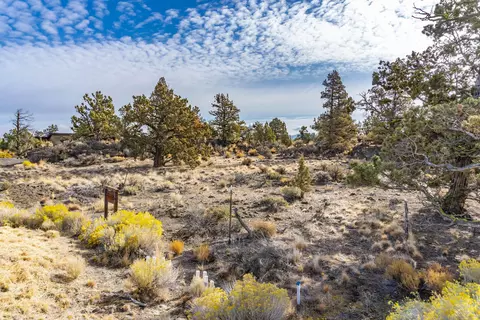 22965 Ghost Tree Ln #LOT 335, Bend, OR 97701 photo 18