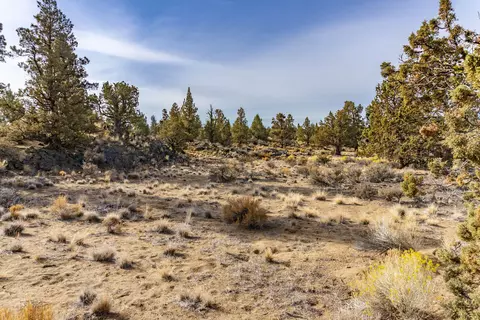 22965 Ghost Tree Ln #LOT 335, Bend, OR 97701 photo 20