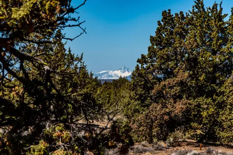 22965 Ghost Tree Ln #LOT 335, Bend, OR 97701 photo 25