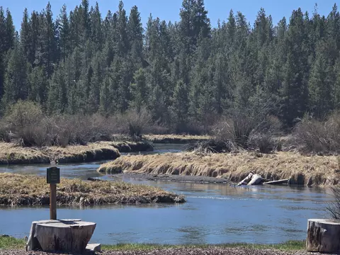 54615 Gray Squirrel Dr, Bend, OR 97707 photo 9