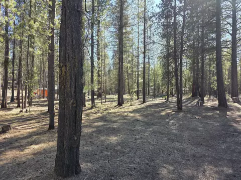 54615 Gray Squirrel Dr, Bend, OR 97707 photo 3