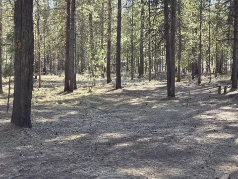54615 Gray Squirrel Dr, Bend, OR 97707 photo 5
