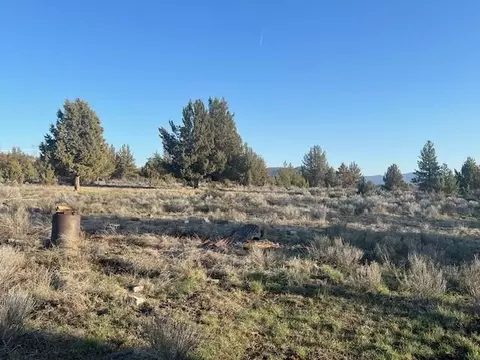 46038 Deer Springs Rd #LOT 4, Beatty, OR 97621
