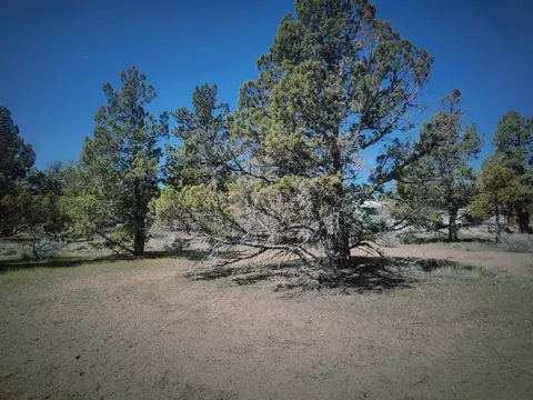 65415 78th St, Bend, OR 97703 photo 9