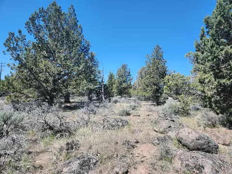 65415 78th St, Bend, OR 97703 photo 10