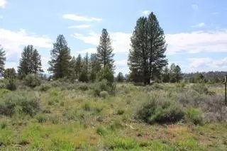 Deer Springs Road, Beatty, OR 97621
