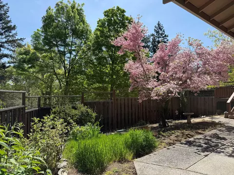 2275 Sam Evans Pl, Ashland, OR 97520 photo 29