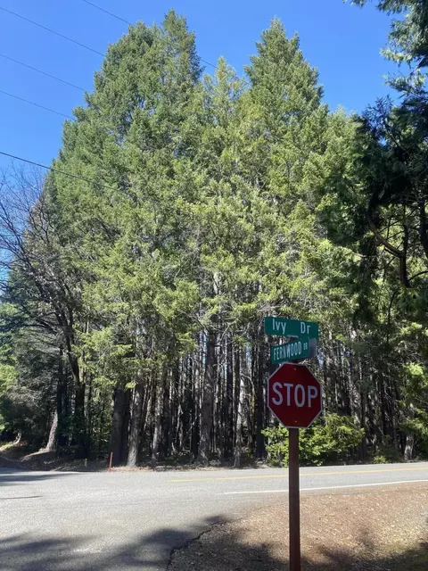 150 Ivy Dr, Cave Junction, OR 97523