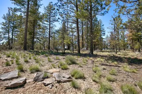62947 Levins Ln, Bend, OR 97703 photo 3