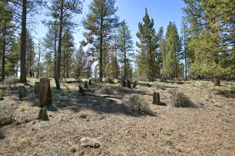 62947 Levins Ln, Bend, OR 97703 photo 8