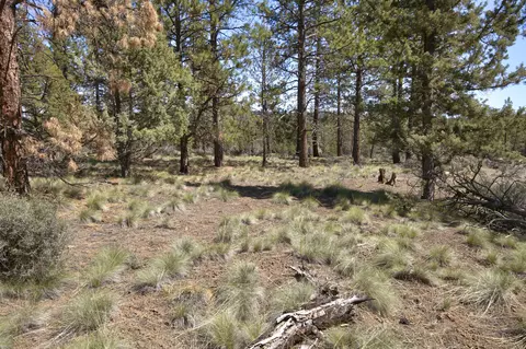 62947 Levins Ln, Bend, OR 97703 photo 15