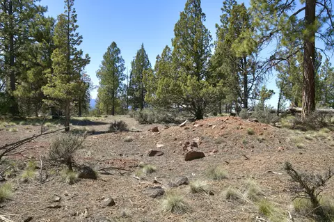 62947 Levins Ln, Bend, OR 97703 photo 9