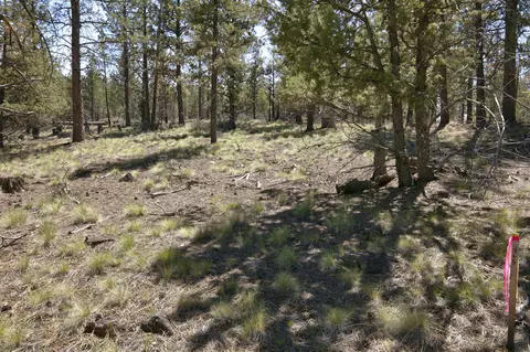 62947 Levins Ln, Bend, OR 97703 photo 23
