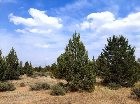 SE Tillamook Loop, Prineville, OR 97754