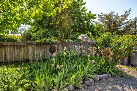 Exterior - 303 C St, Phoenix, OR 97535 photo 5 of 13