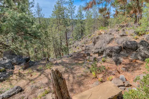 60442 Snap Shot Loop, Bend, OR 97702 photo 48