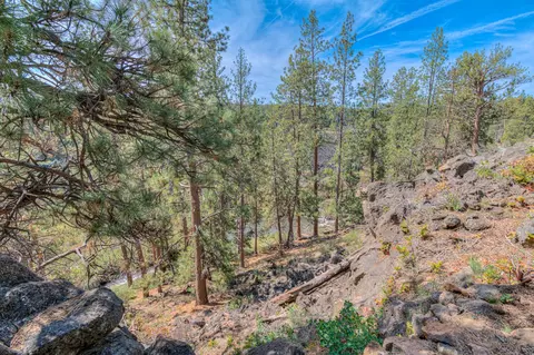 60442 Snap Shot Loop, Bend, OR 97702 photo 47