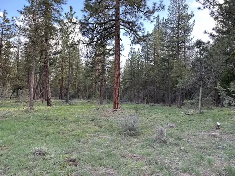 red deer lane LOT 2, Bonanza, OR 97623
