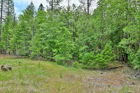 261 White Oak Dr, Cave Junction, OR 97523 photo 48