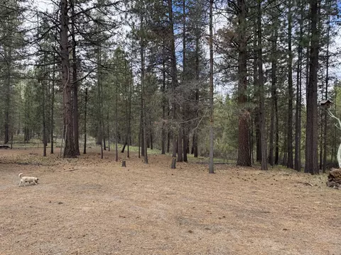 15834 Jackpine Rd, La Pine, OR 97739 photo 45